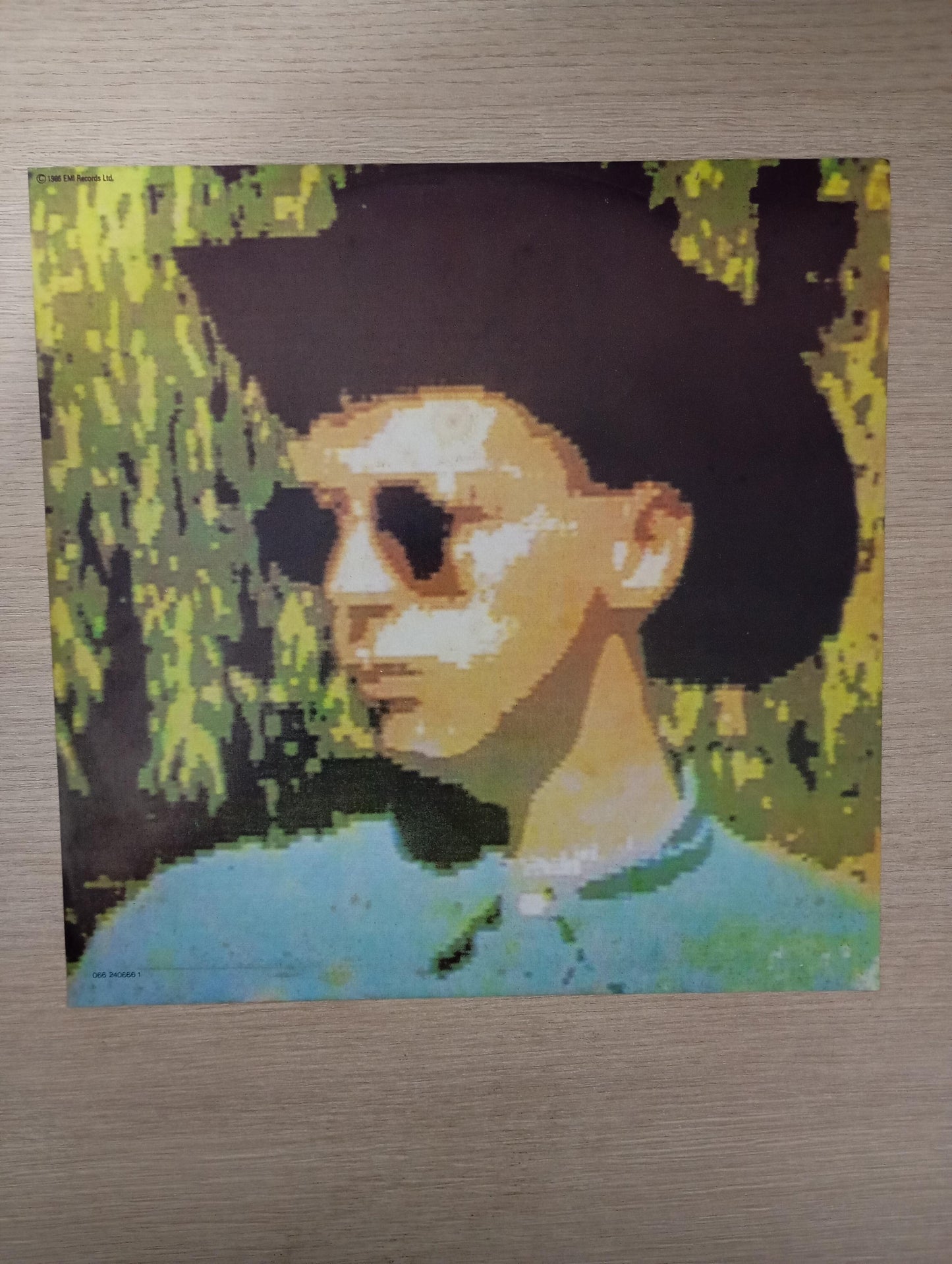 Disco Vinil Disco Pet Shop Boys Com Encarte A