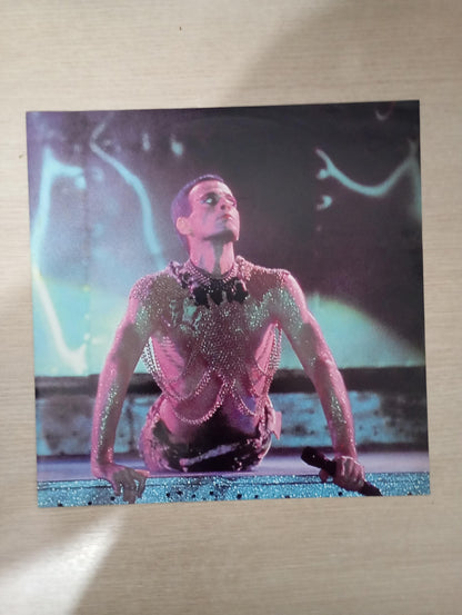 Lp Vinil Ney Matogrosso Destino De Aventureiro Com Encarte