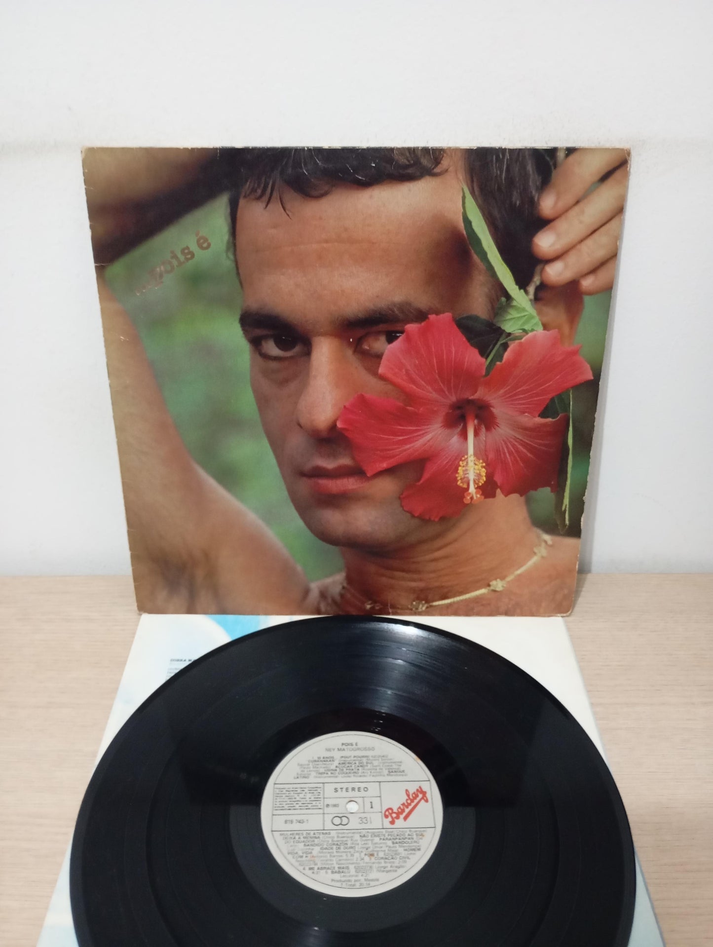 Lp Vinil Ney Matogrosso ...Pois É Com Encarte Importado