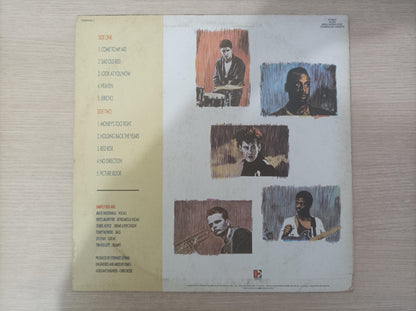 Lp Vinil Simply Red Picture Book