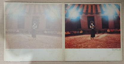 Lp Vinil Elis Regina Elis Vive Duplo