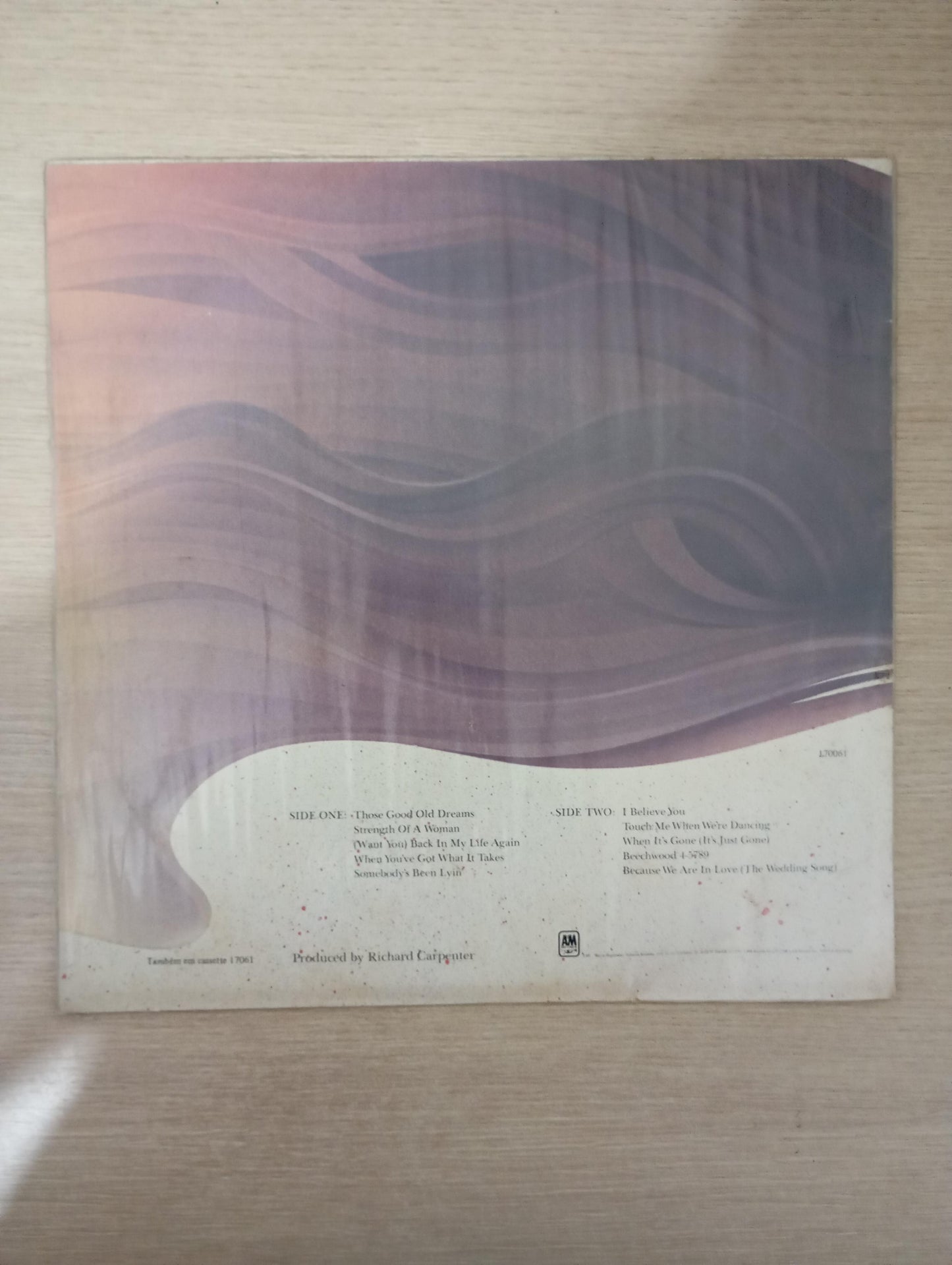 Lp Vinil Carpenters Made In America
