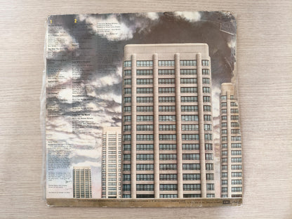 Lp Vinil America Perspective