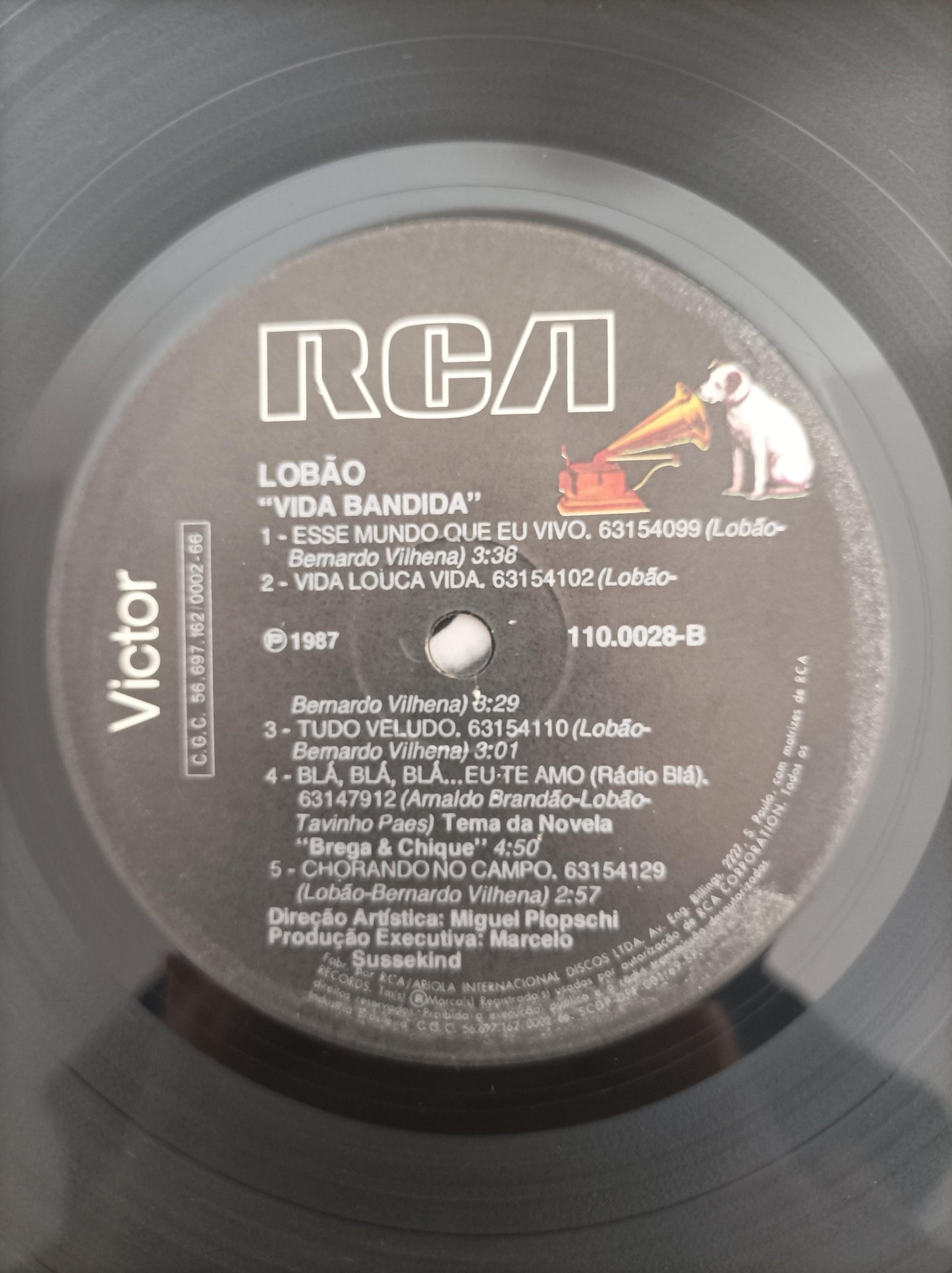 Lp Vinil Lobão Vida Bandida Com Encarte