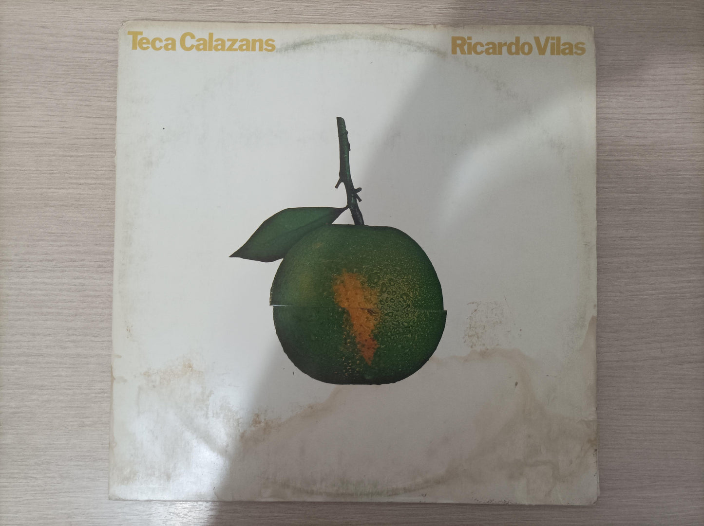 Lp Vinil Teca Calazans & Ricardo Vilas Não Sou Dois Encarte