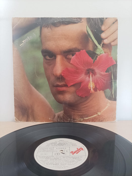 Lp Vinil Ney Matogrosso ...Pois É