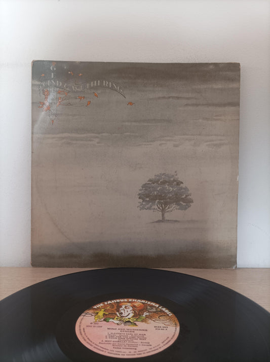 Disco Vinil Wind & Wuthering Genesis A