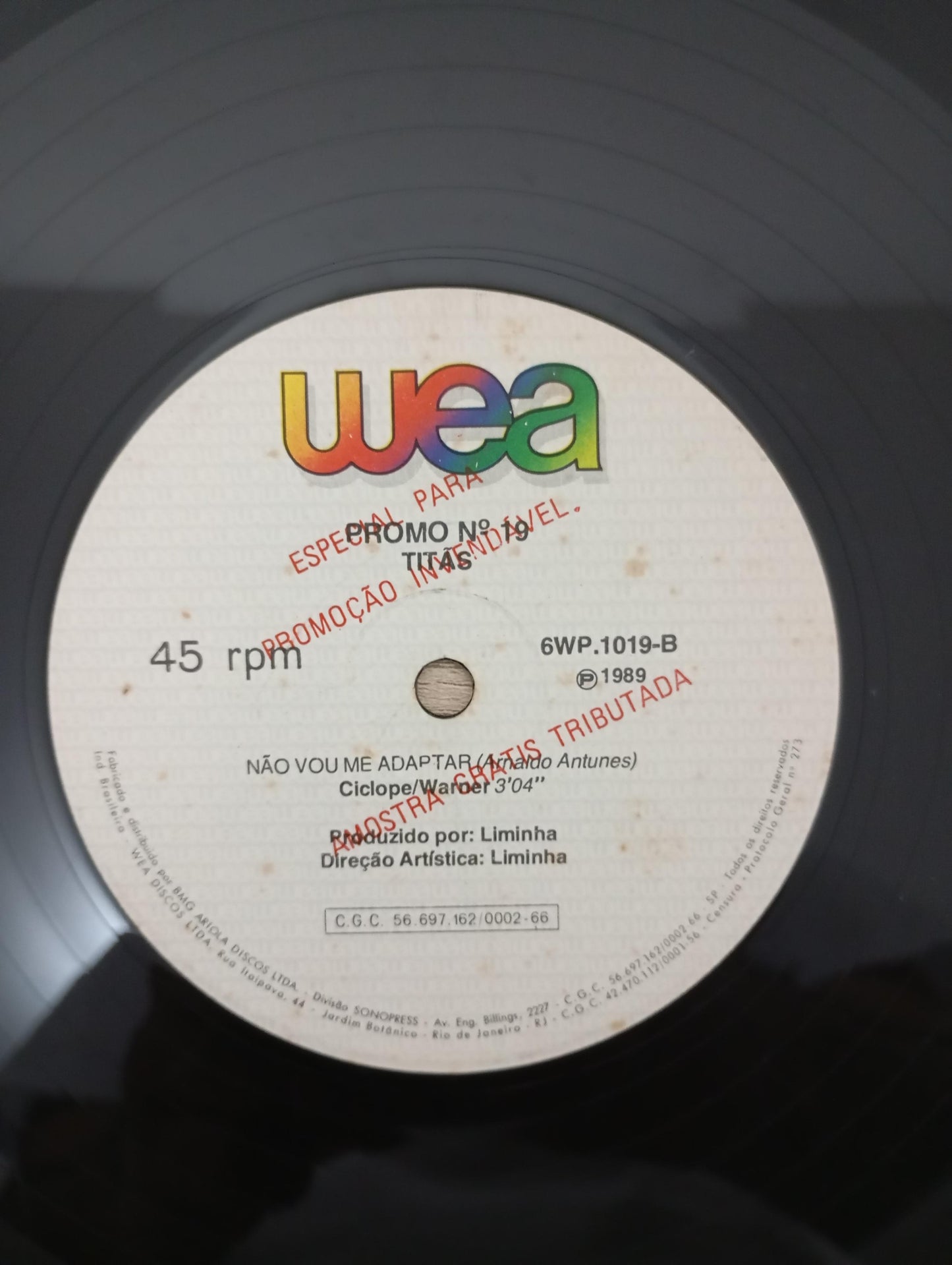Lp Vinil Titãs Não Vou Me Adaptar Single