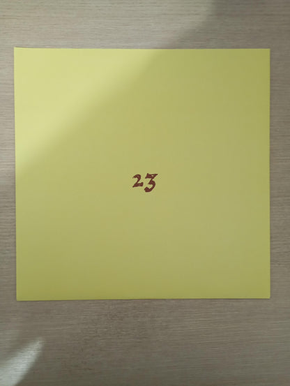 Lp Vinil Blonde Redhead 23 2007 Com Encarte Importado USA