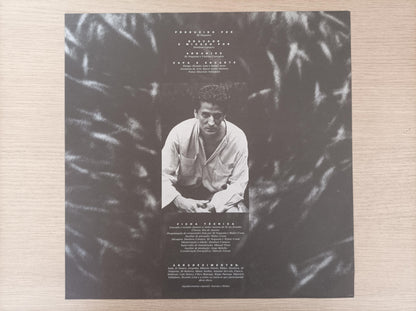 Lp Vinil Vinicius Cantuária Rio Negro Com Encarte