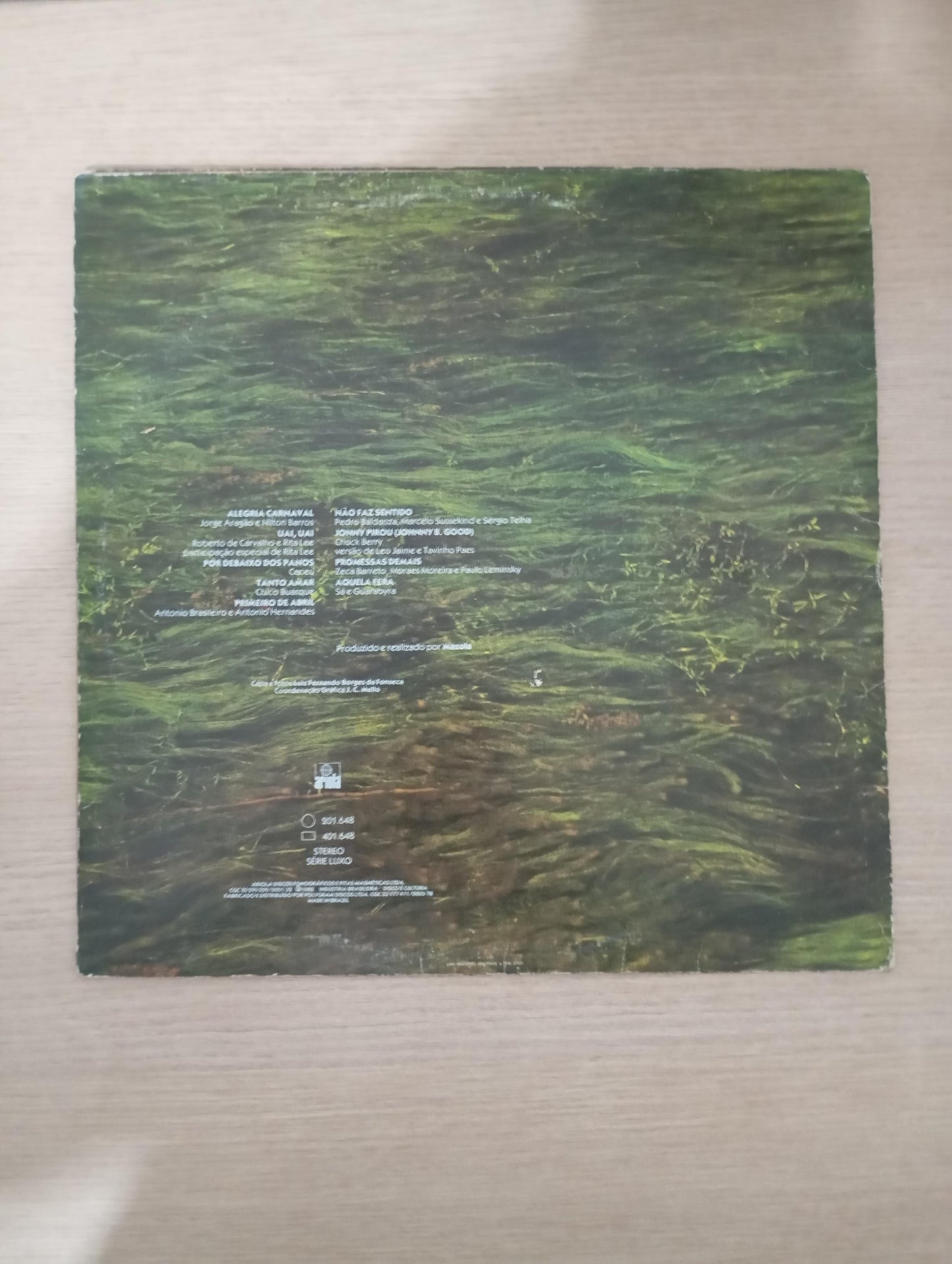 Disco Vinil Mato Grosso 1982 Ney Matogrosso Com Encarte A