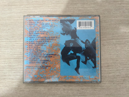 CD Blues Magoos Kaleidescopic Compendium Importado