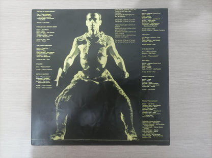 Lp Vinil Ney Matogrosso Destino De Aventureiro Com Encarte