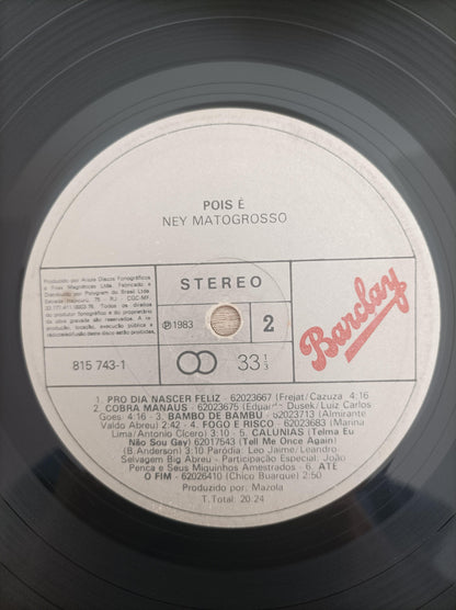 Lp Vinil Ney Matogrosso ...Pois É