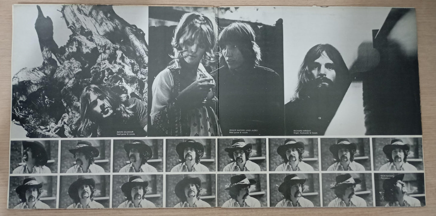 Lp Vinil Pink Floyd Ummagumma Duplo, Leia
