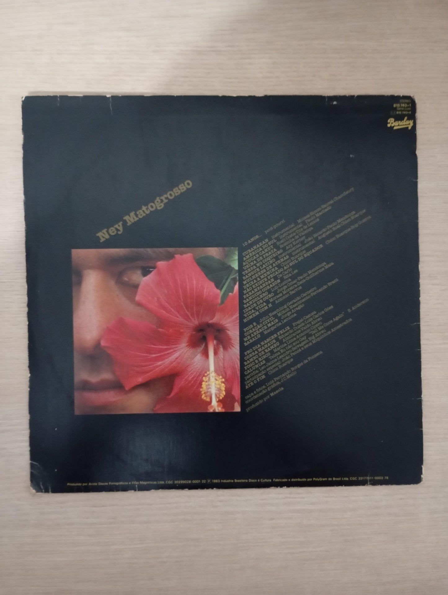 Lp Vinil Ney Matogrosso ...Pois É Com Encarte Importado