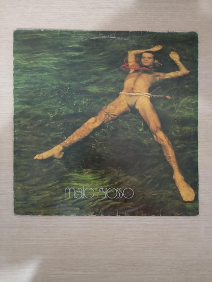 Disco Vinil Mato Grosso 1982 Ney Matogrosso Com Encarte A