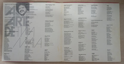 Lp Vinil Tim Maia A Arte De Tim Maia Duplo