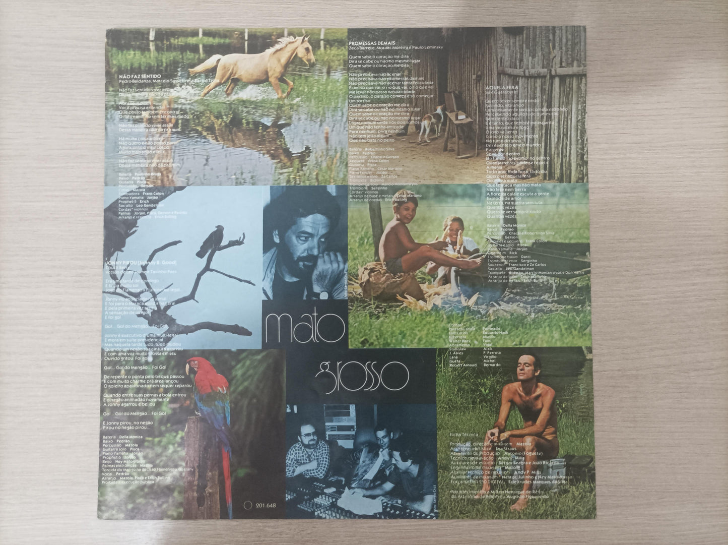 Disco Vinil Mato Grosso Ney Matogrosso Com Encarte A