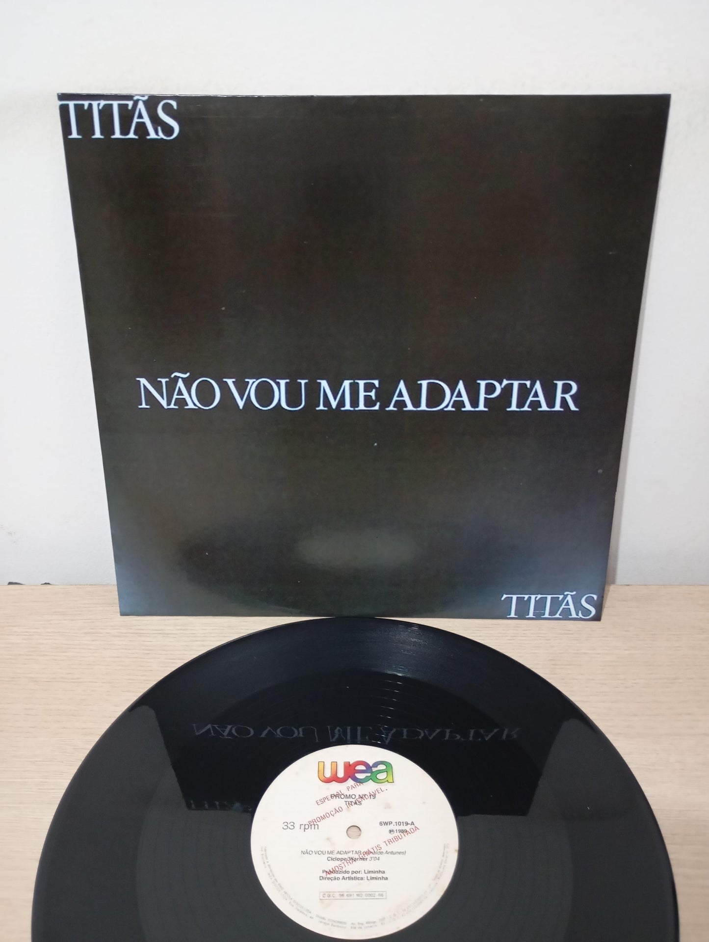 Lp Vinil Titãs Não Vou Me Adaptar Single