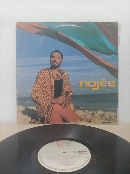 Lp Vinil Najee Theme
