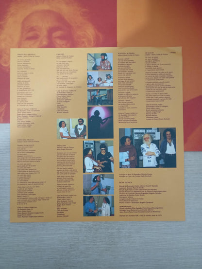 Lp Vinil Cátia De França 20 Palavras Ao Redor Sol C Encartes