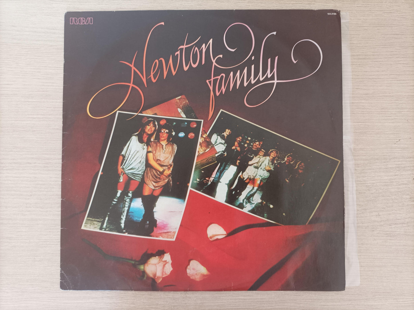 Lp Vinil Newton Family