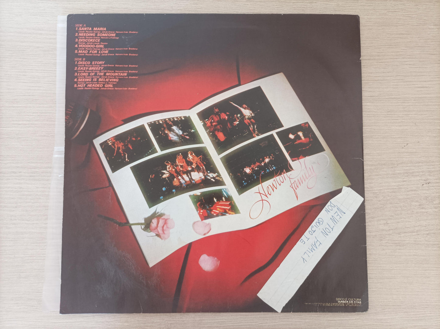 Lp Vinil Newton Family