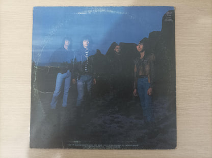 Disco Vinil 1988 RPM A