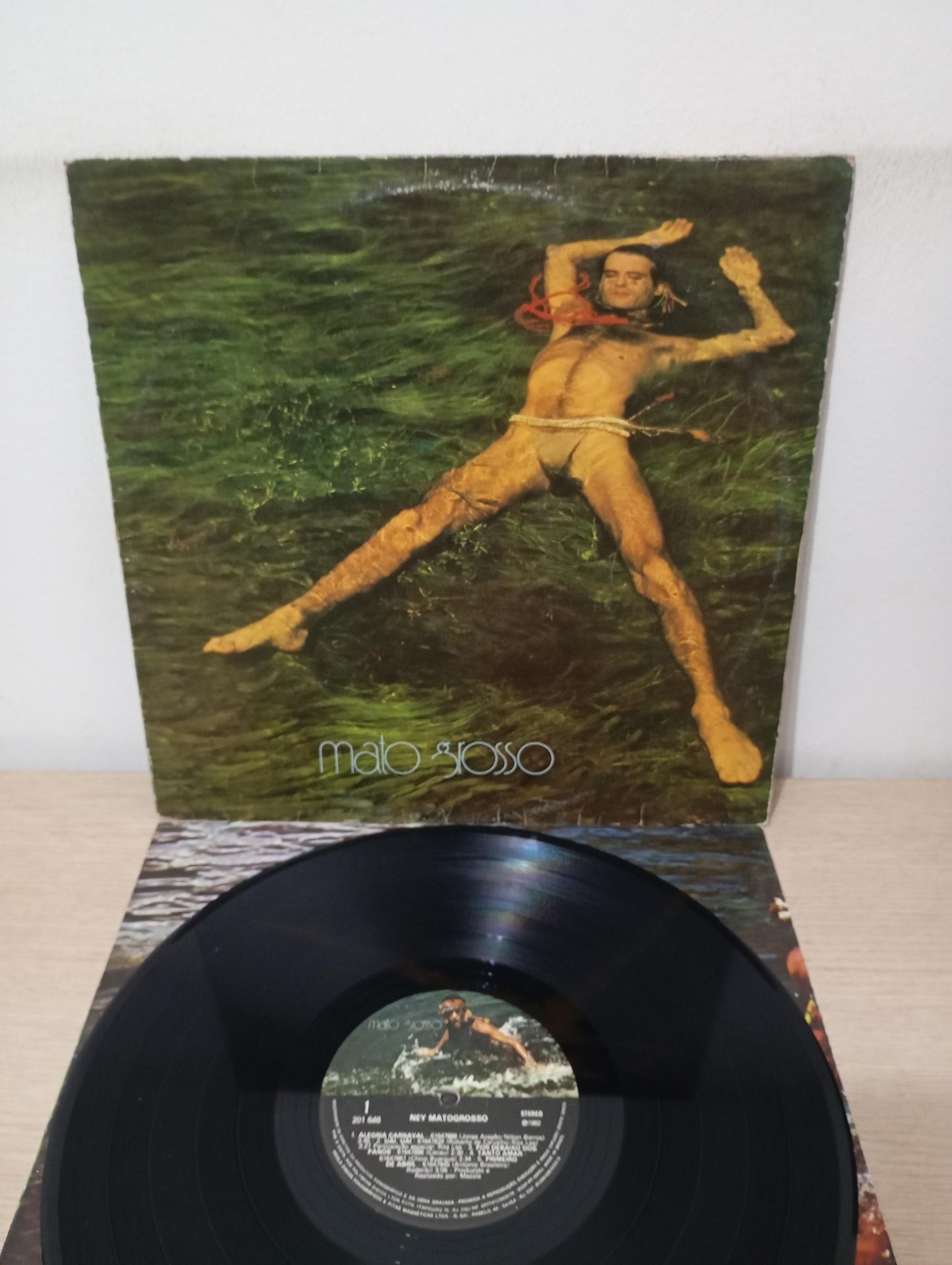 Disco Vinil Mato Grosso 1982 Ney Matogrosso Com Encarte A