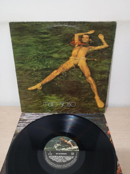 Disco Vinil Mato Grosso 1982 Ney Matogrosso Com Encarte A