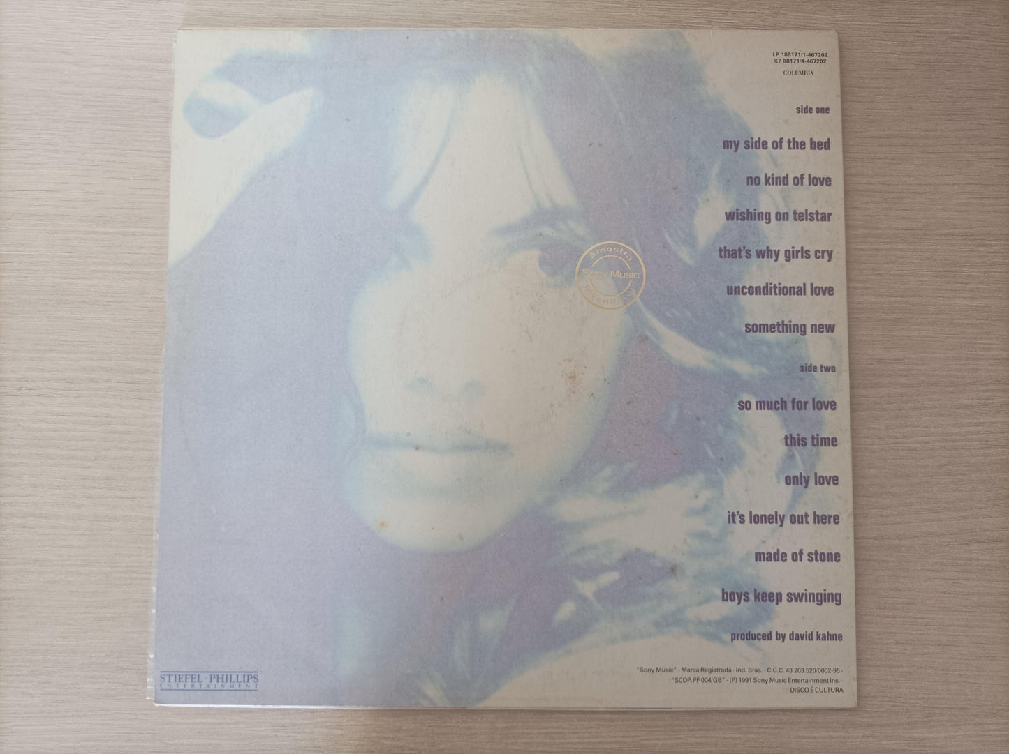 Lp Vinil Susanna Hoffs When You're A Boy Com Encarte