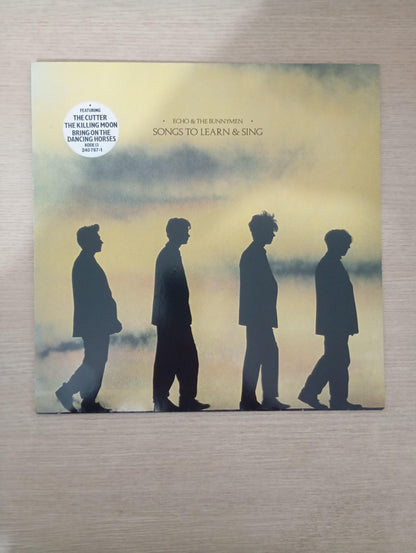 Lp Vinil Echo & The Bunnymen Songs To Learn & Sing Importado