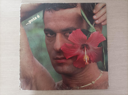 Lp Vinil Ney Matogrosso ...Pois É Com Encarte