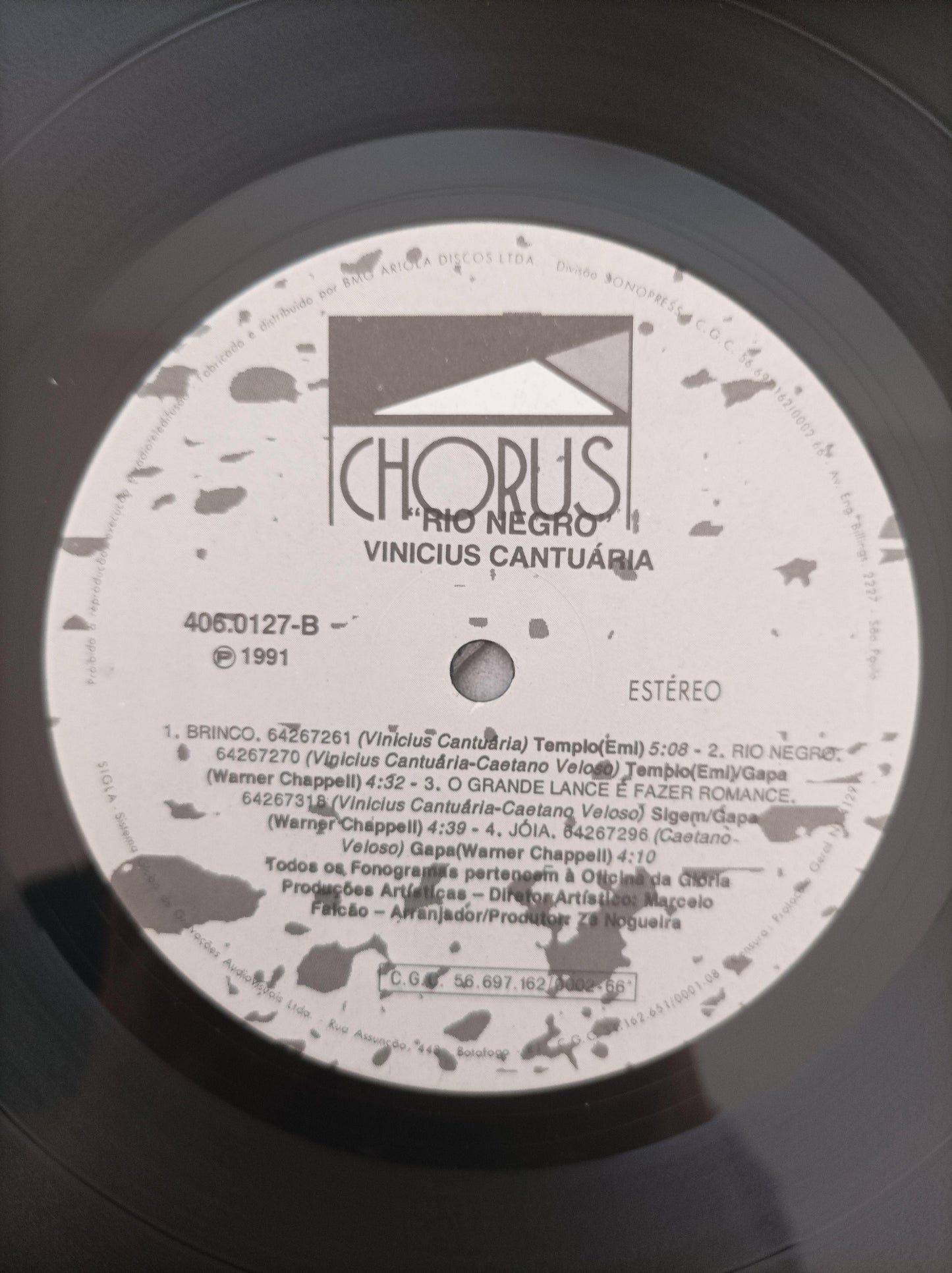 Lp Vinil Vinicius Cantuária Rio Negro Com Encarte