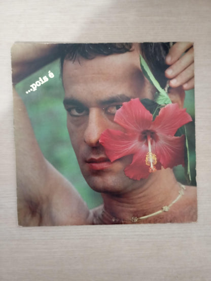 Lp Vinil Ney Matogrosso ...Pois É Com Encarte Importado