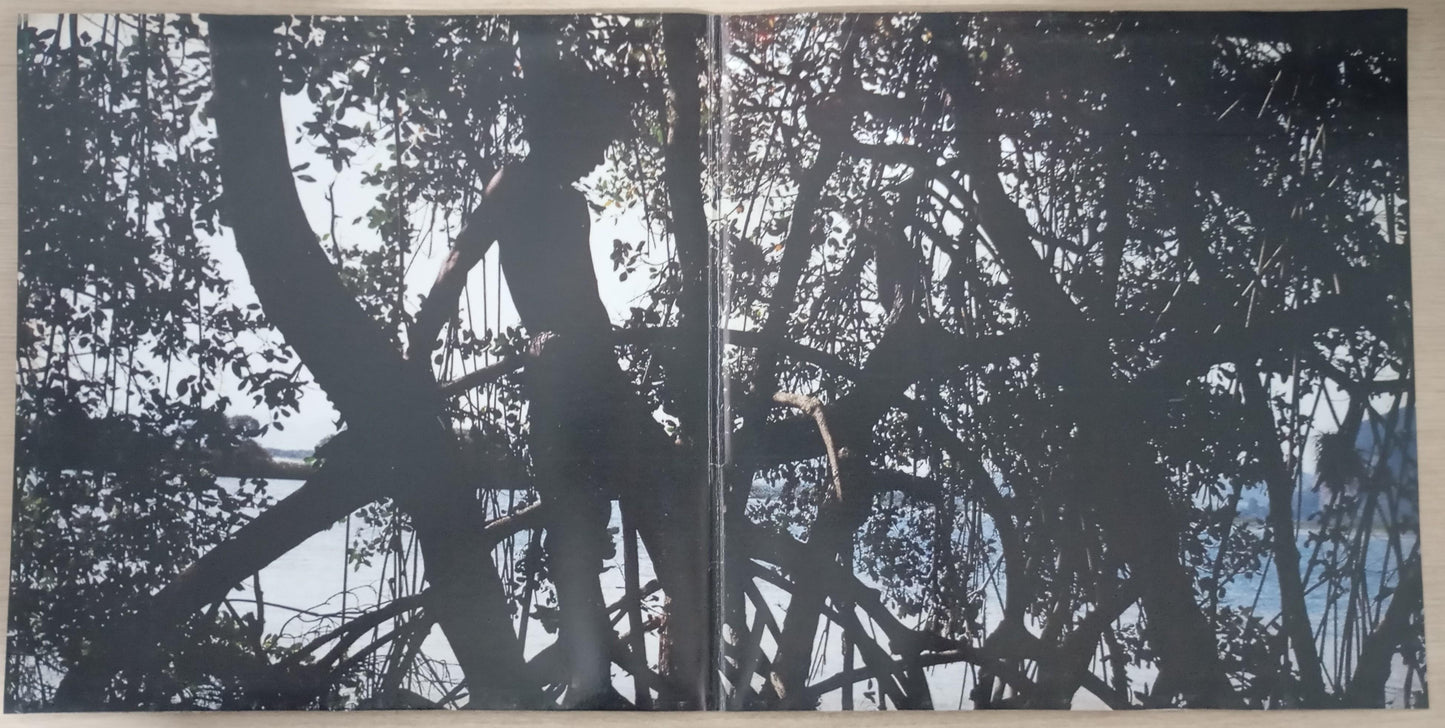 Lp Vinil Djavan Meu Lado Capa Dupla Com Encarte