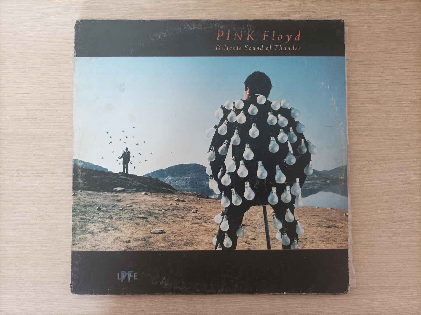 Lp Vinil Pink Floyd Delicate Sound Of Thunder Duplo Encartes