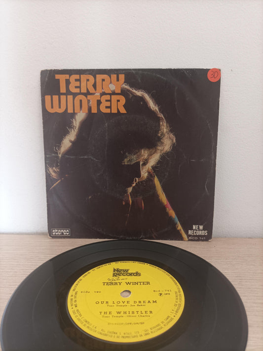Compacto Vinil Terry Winter I Know