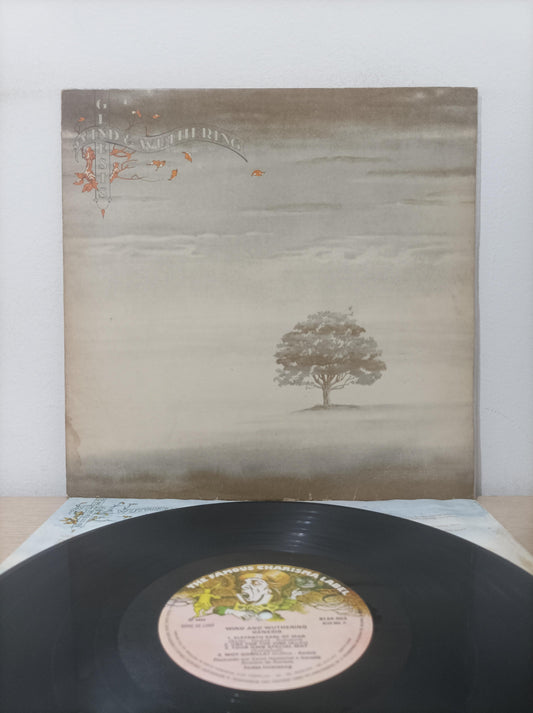 Disco Vinil Wind & Wuthering Genesis Com Encarte A