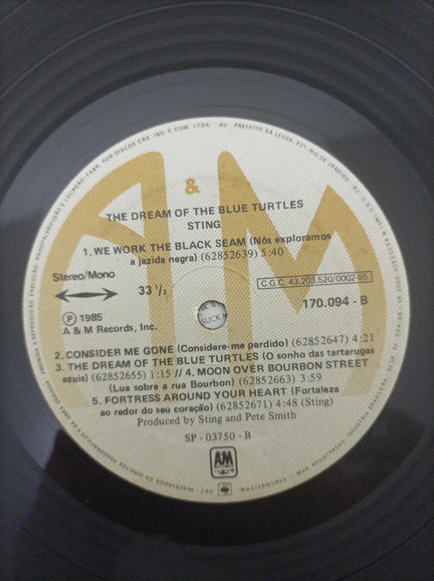 Lp Vinil Sting The Dream Of The Blue Turtles Com Encarte
