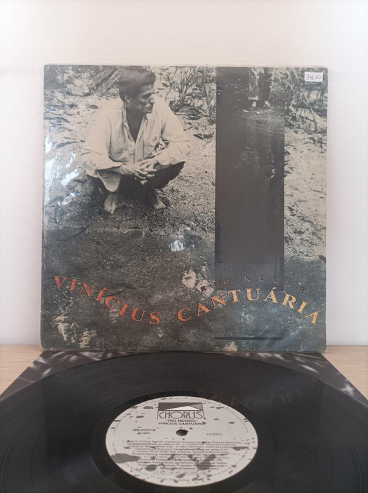 Lp Vinil Vinicius Cantuária Rio Negro Com Encarte