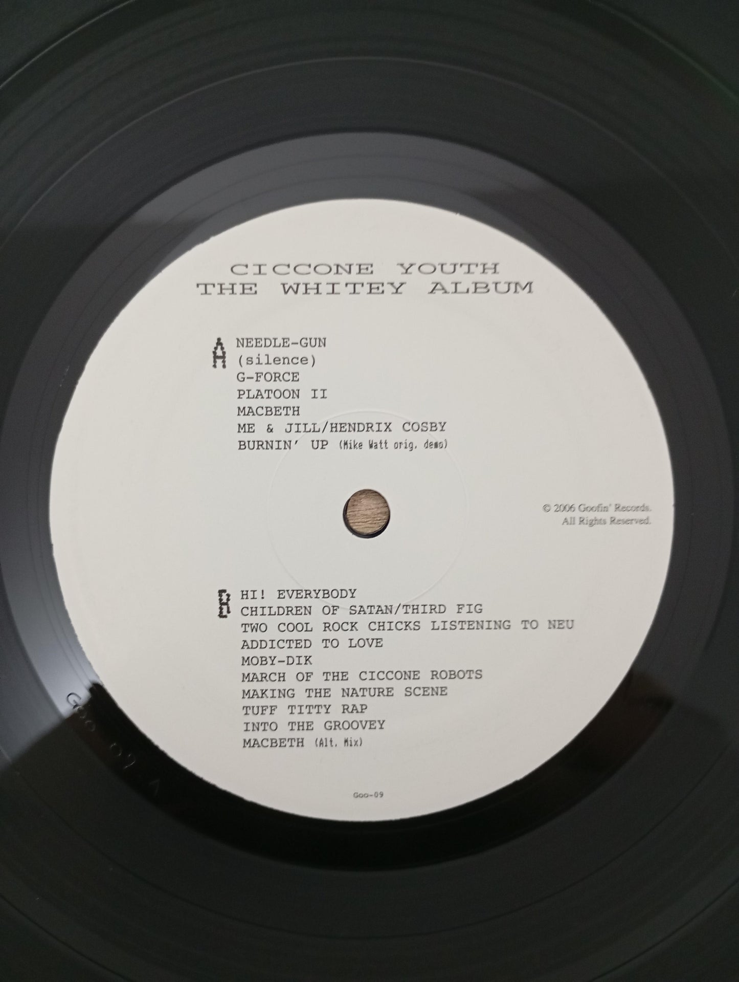 Lp Vinil Ciccone Youth The Whitey Album 2006 Import USA