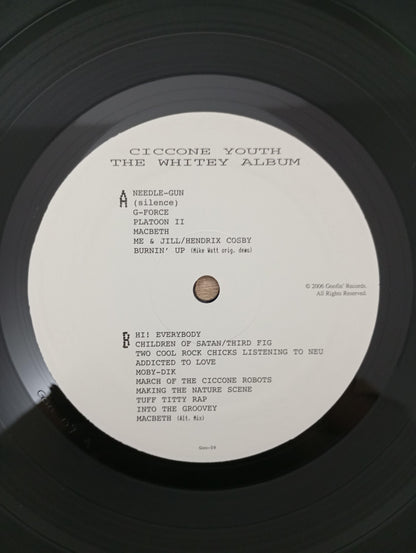 Lp Vinil Ciccone Youth The Whitey Album 2006 Import USA