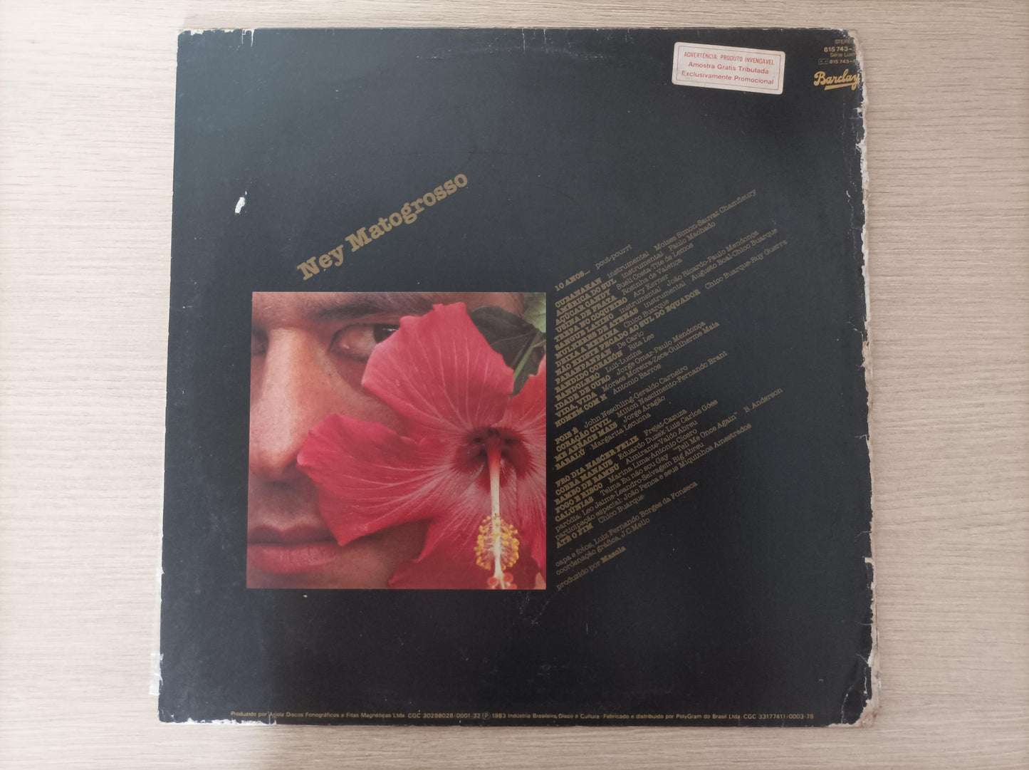 Lp Vinil Ney Matogrosso ...Pois É Com Encarte