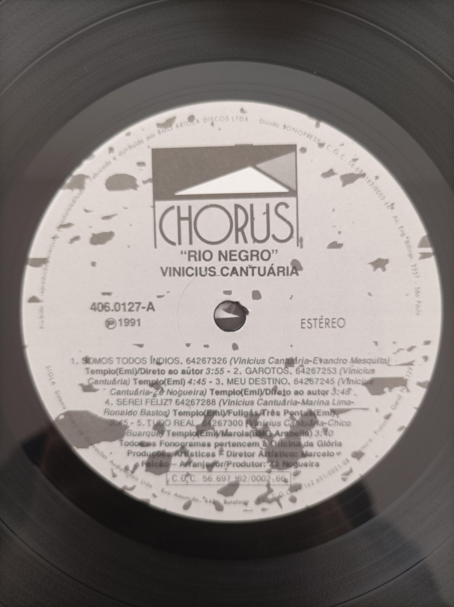 Lp Vinil Vinicius Cantuária Rio Negro Com Encarte
