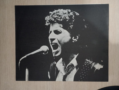 Lp Vinil Johnny Rivers Grandes Sucessos Com Encarte