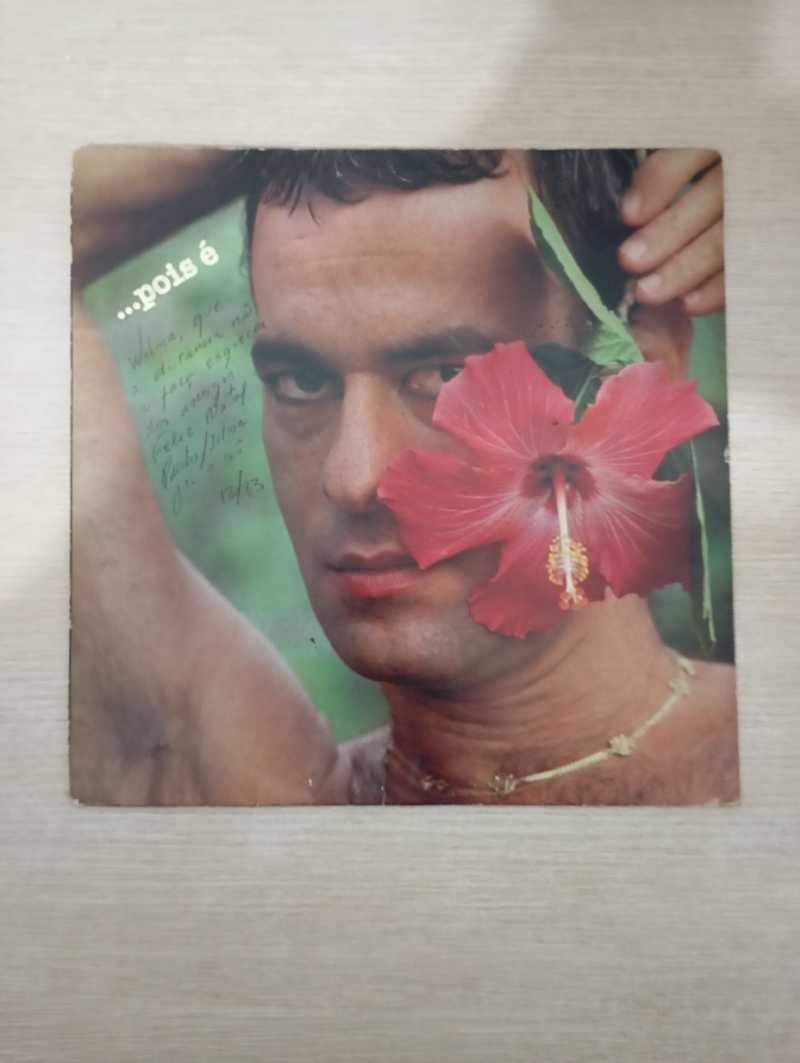 Lp Vinil Ney Matogrosso ...Pois É Com Encarte