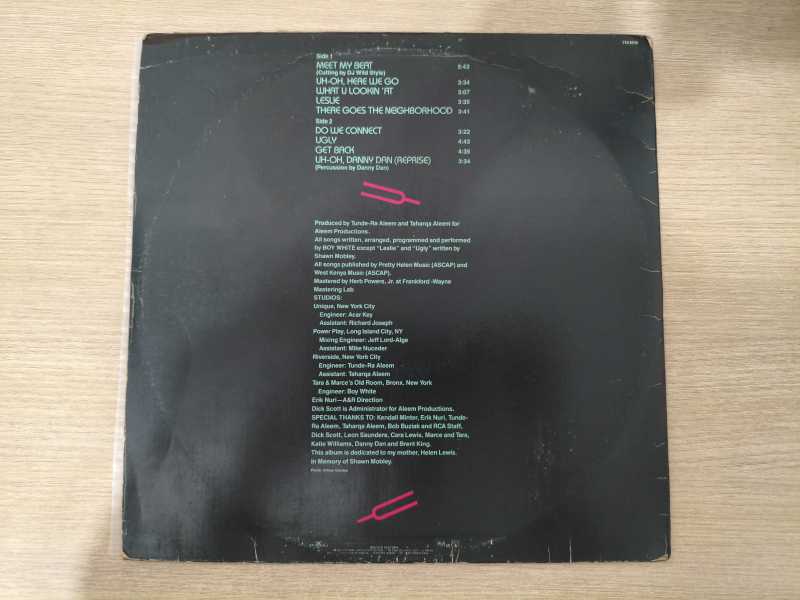 Lp Vinil Boy White Do We Connect