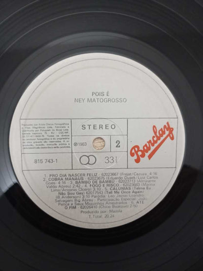 Lp Vinil Ney Matogrosso ...Pois É Com Encarte